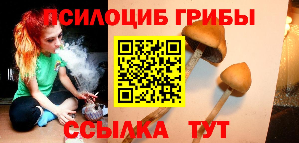 Галлюциногенные грибы Psilocybine cubensis Менделеевск