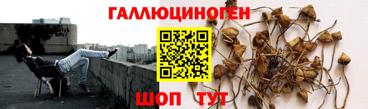 Псилоцибиновые грибы мухоморы  Галлюциногенные грибы мицелий  Вход с VPN  Менделеевск 